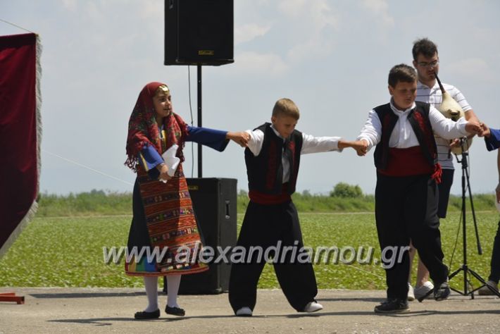 alexandriamou.gr_trikala28.5.2018166